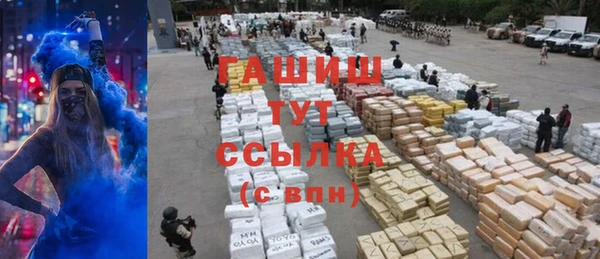 прущие грибы Беломорск