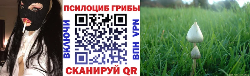 Псилоцибиновые грибы мухоморы Каменск-Уральский