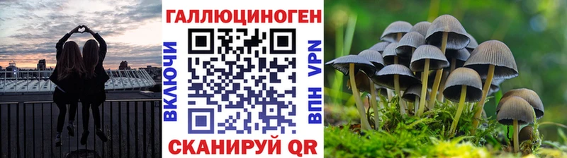 Псилоцибиновые грибы ЛСД Каменск-Уральский